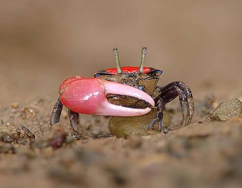 �x�j�V�I�}�l�L